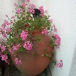 Casa Do Souto *