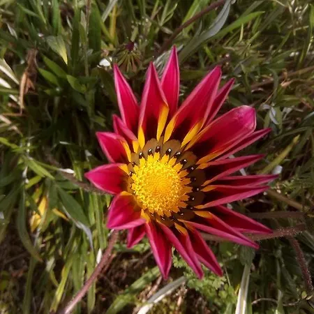 Casa Do Souto Aldreu