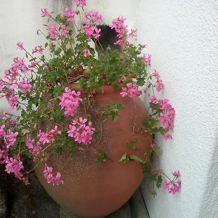 Casa Do Souto *