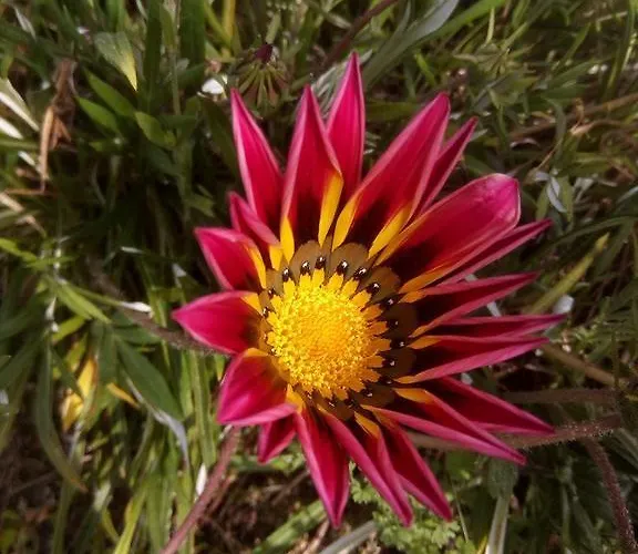 Casa Do Souto Aldreu