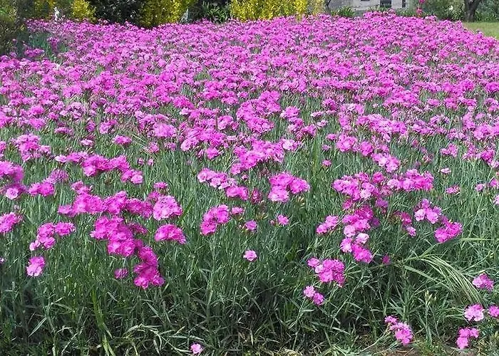 Casa Do Souto Villa *