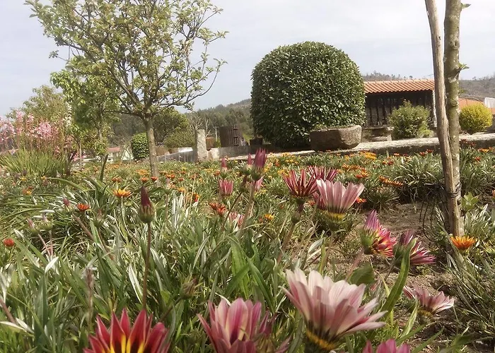 Casa Do Souto 别墅 Aldreu